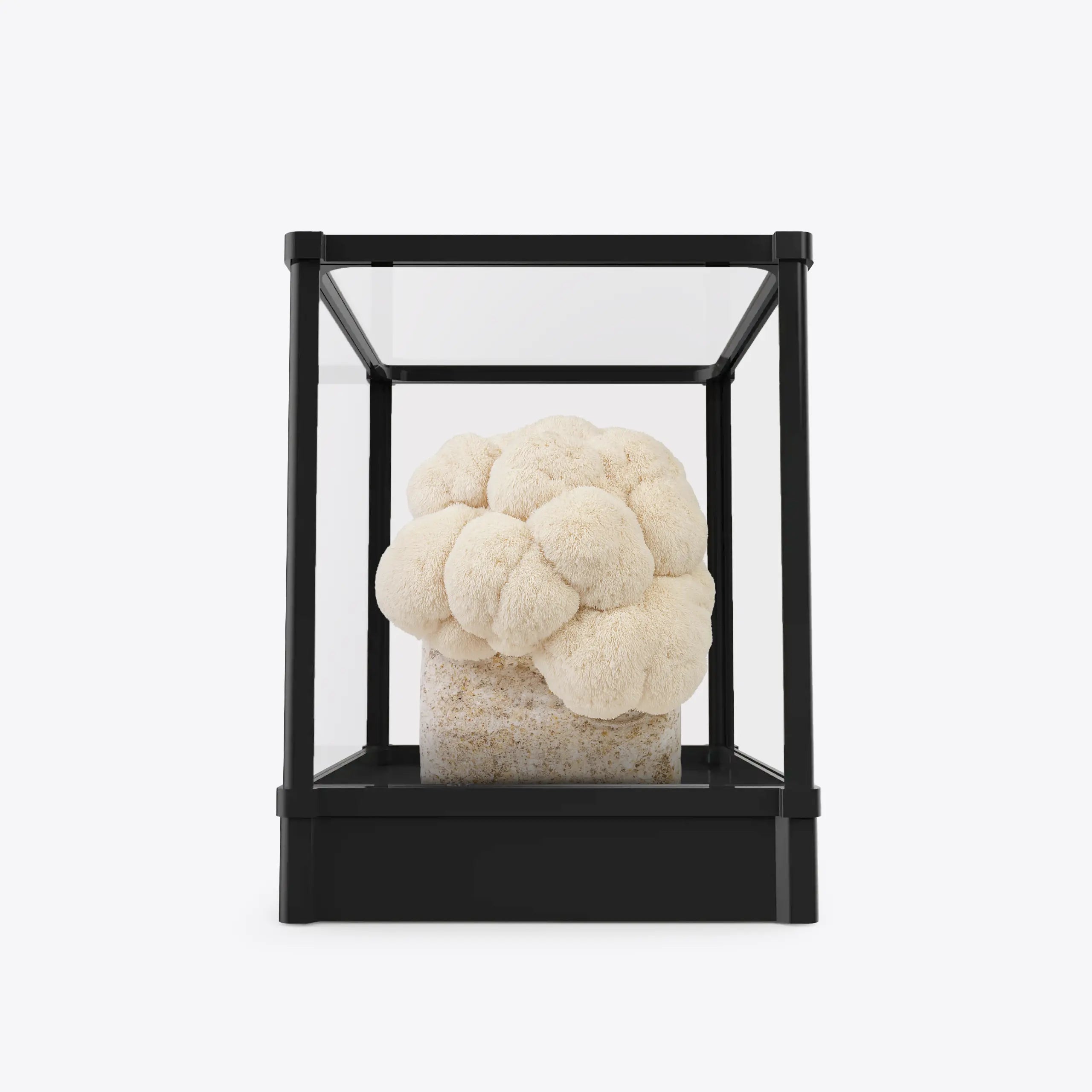 Smart Mushroom Grow Kit