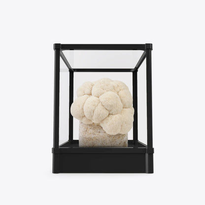 Smart Mushroom Grow Kit