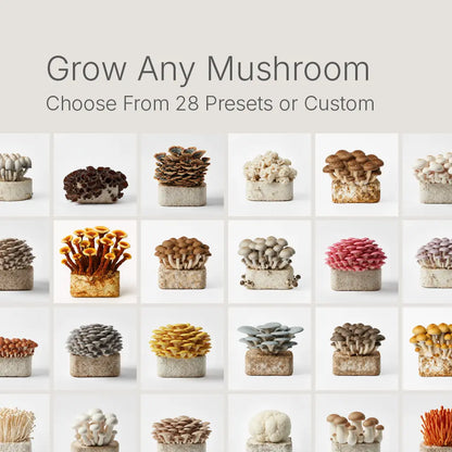 Smart Mushroom Grow Kit
